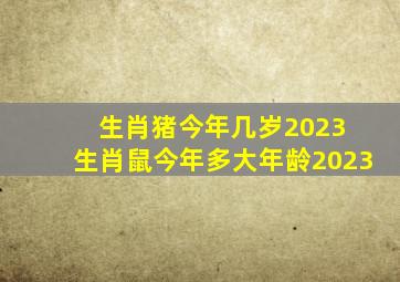 生肖猪今年几岁2023 生肖鼠今年多大年龄2023